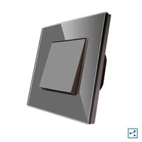 Intrerupator ST mecanic cap scara cu rama din sticla gri Luxion LXD-MP002GF-GY