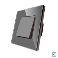 Comutator ST mecanic cap scara cu rama din sticla gri Luxion LXD-MP005GF-GY