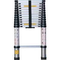 Scara telescopica din aluminiu 3.8m, 13 trepte Vorel 17700