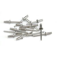 Nituri otel 19x4,8 mm 50buc Vorel 70560