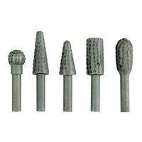 Set raspile cu tija 5 piese Vorel 25450