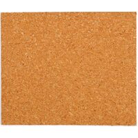 Placa pluta 100X120 mm, Vorel 74812