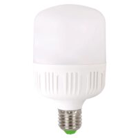 Bec LED 30W E27 6500K 