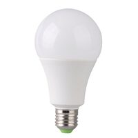 Bec LED A60 E27 10W 5000K