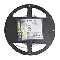 Banda LED 5x60 4.8W/M lumina rece LR 6400K IP20 