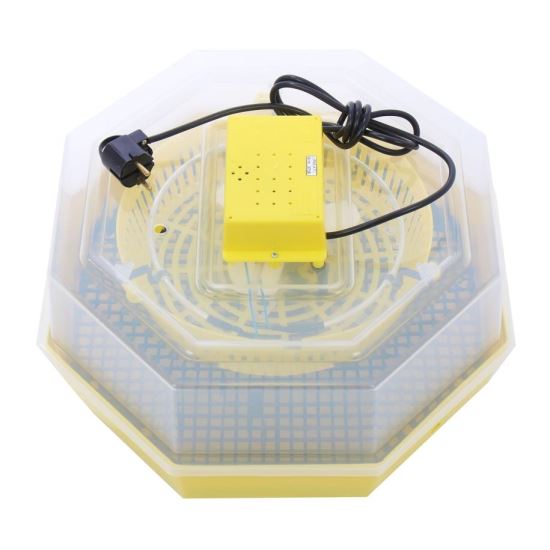 Incubator electric (clocitoare)  oua Cleo 5, 230 V, 60 oua capacitate, 38°C temperatura incubare
